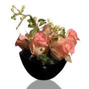 Rose Bud